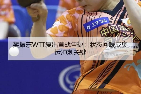 樊振东WTT复出首战告捷：状态回暖成奥运冲刺关键